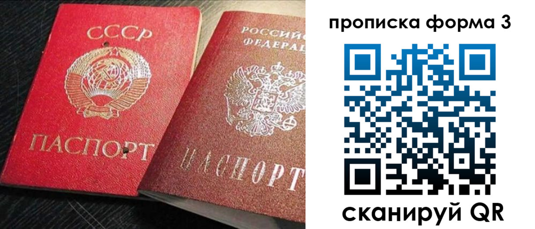 прописка регистрация в Новозыбкове